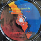 Edition limitée Chambres Sensibles - 2005 - Bleu, jaune, rouge 2 - Bernard Gast